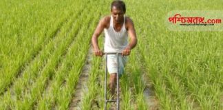 farmer, kishan somman nidhi, pm modi, pm kishan nidhi